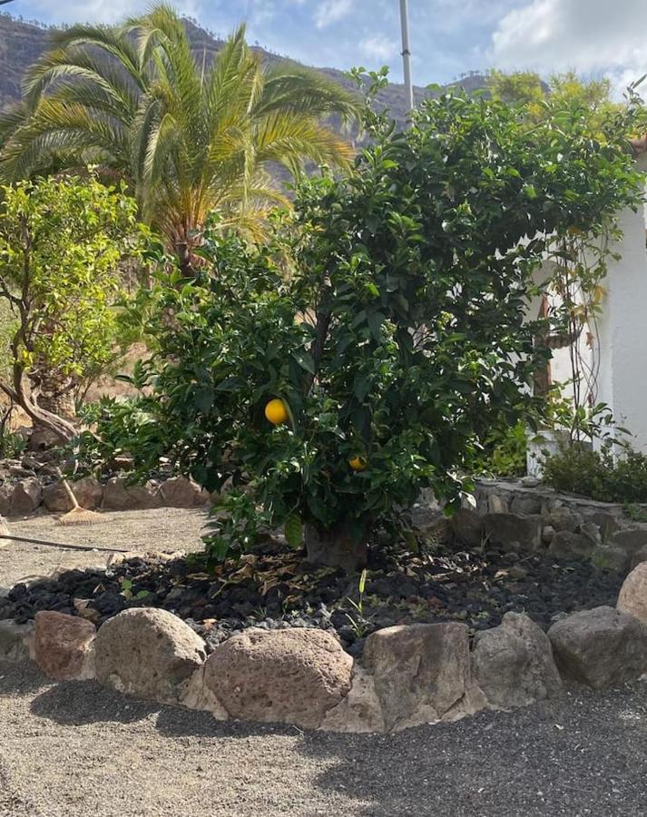 Casa Colonia Daire Mogán Dış mekan fotoğraf