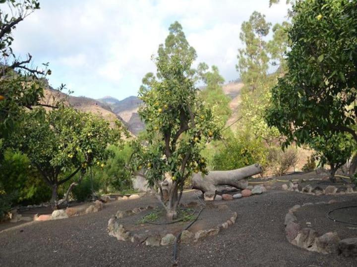 Casa Colonia Daire Mogán Dış mekan fotoğraf