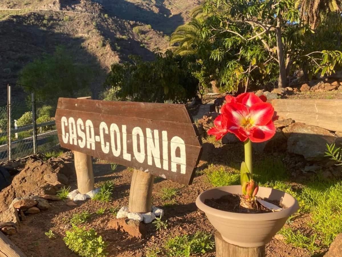 Casa Colonia Daire Mogán Dış mekan fotoğraf